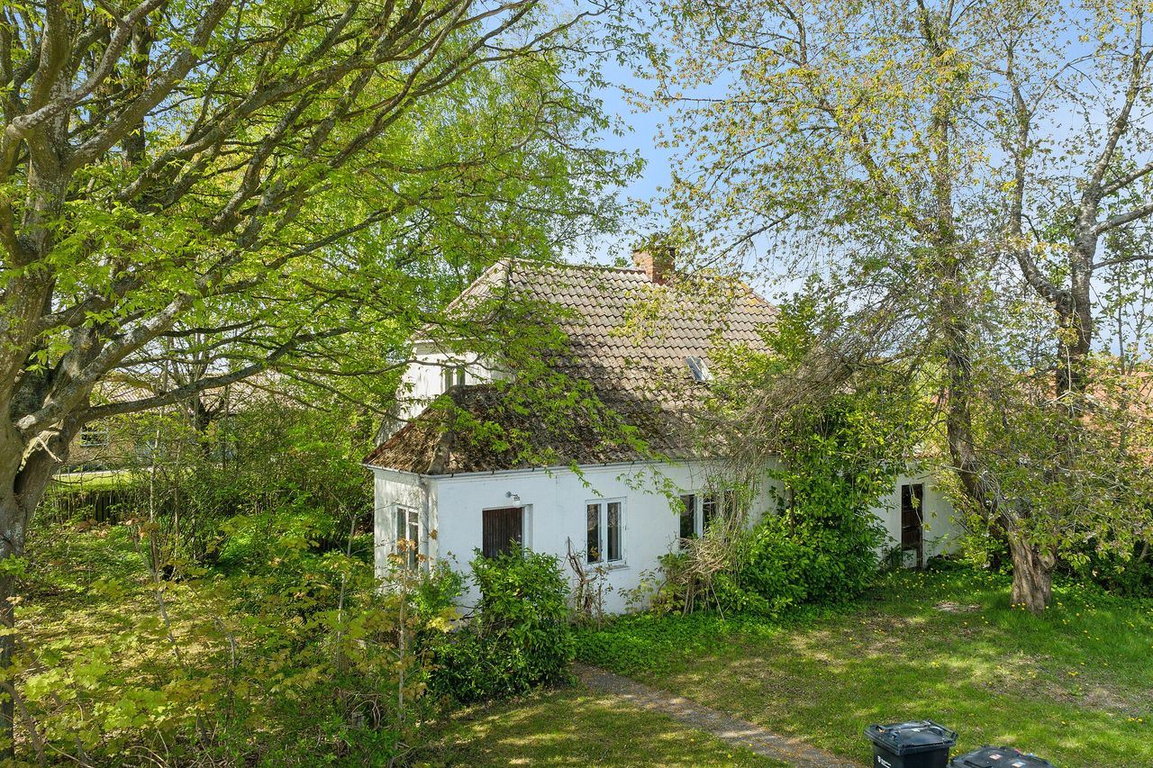 image 03