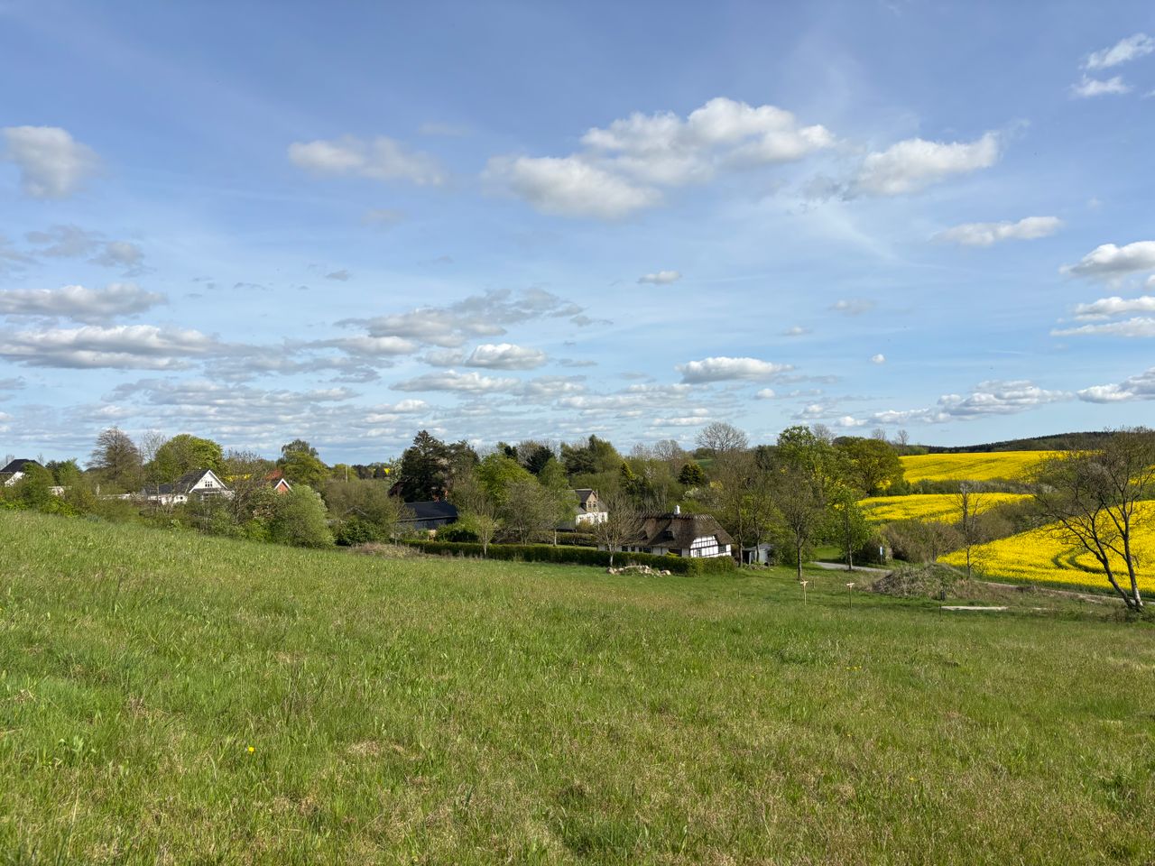 image 04