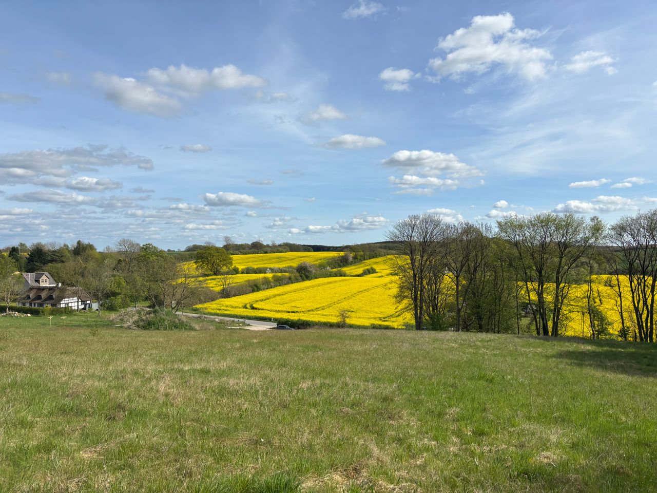 image 03