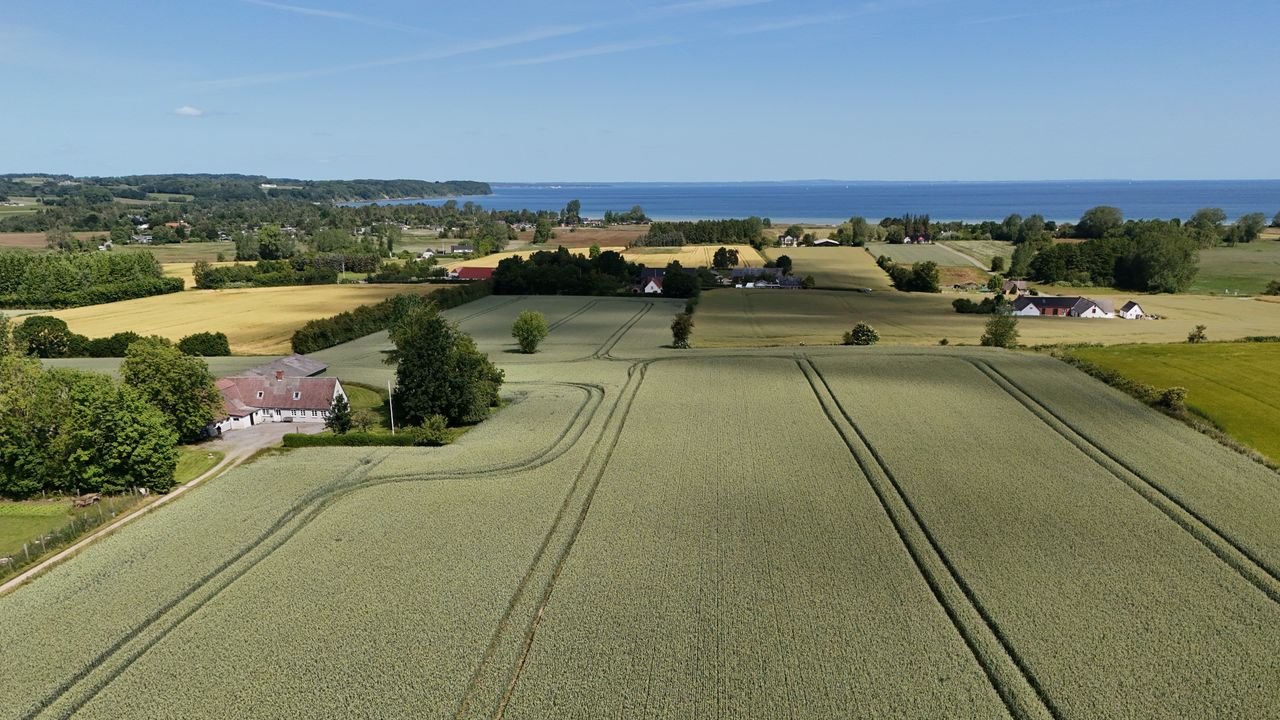image 02