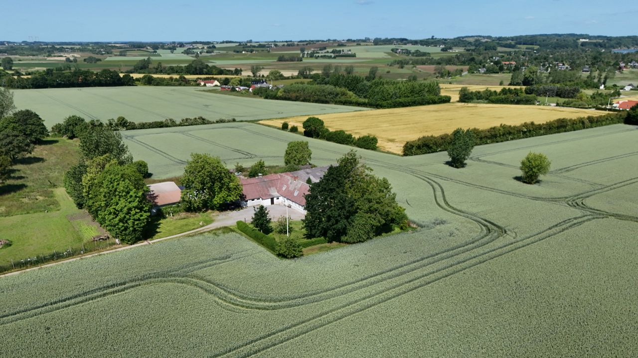 image 03