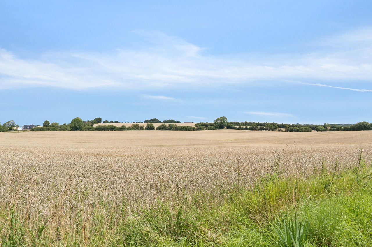 image 04